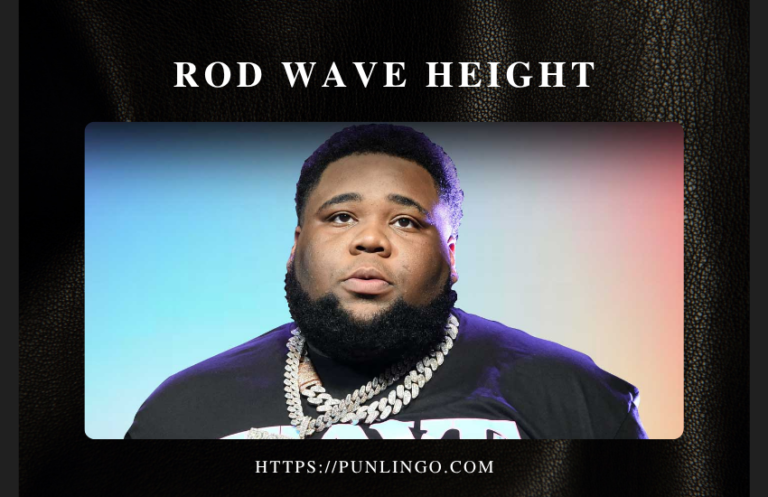 rod wave height
